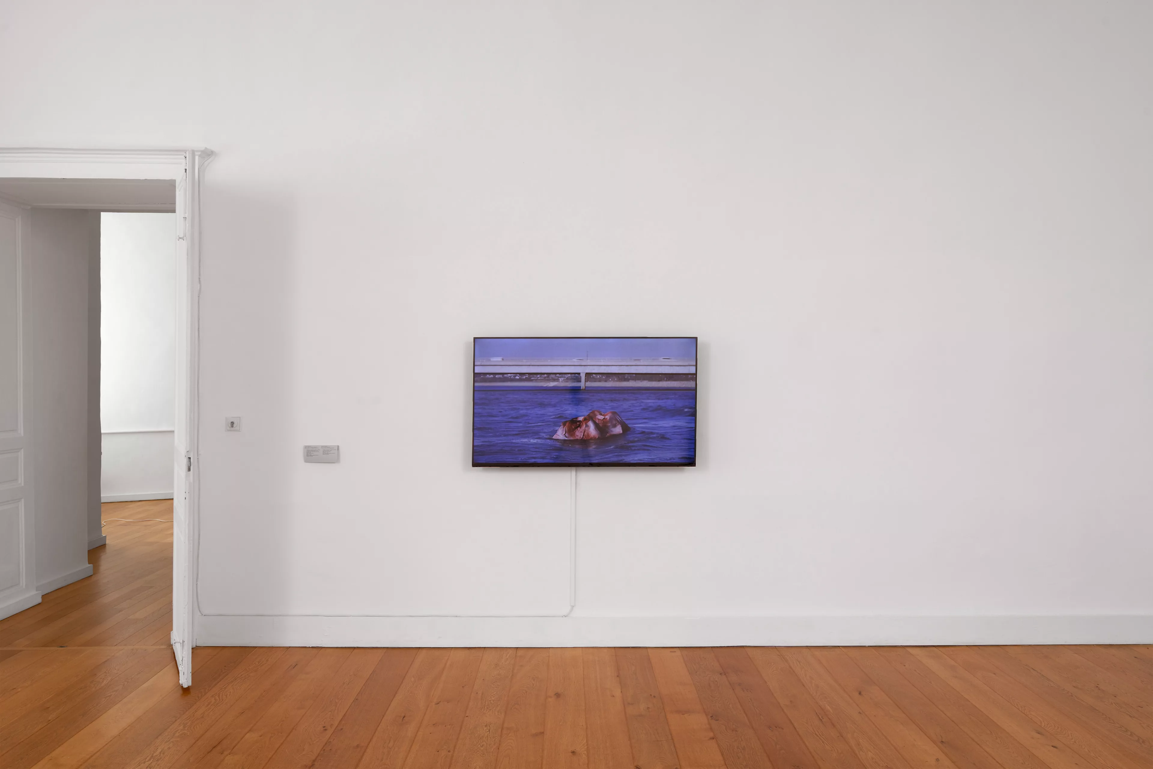 Vue de l'exposition L'œil du serpent