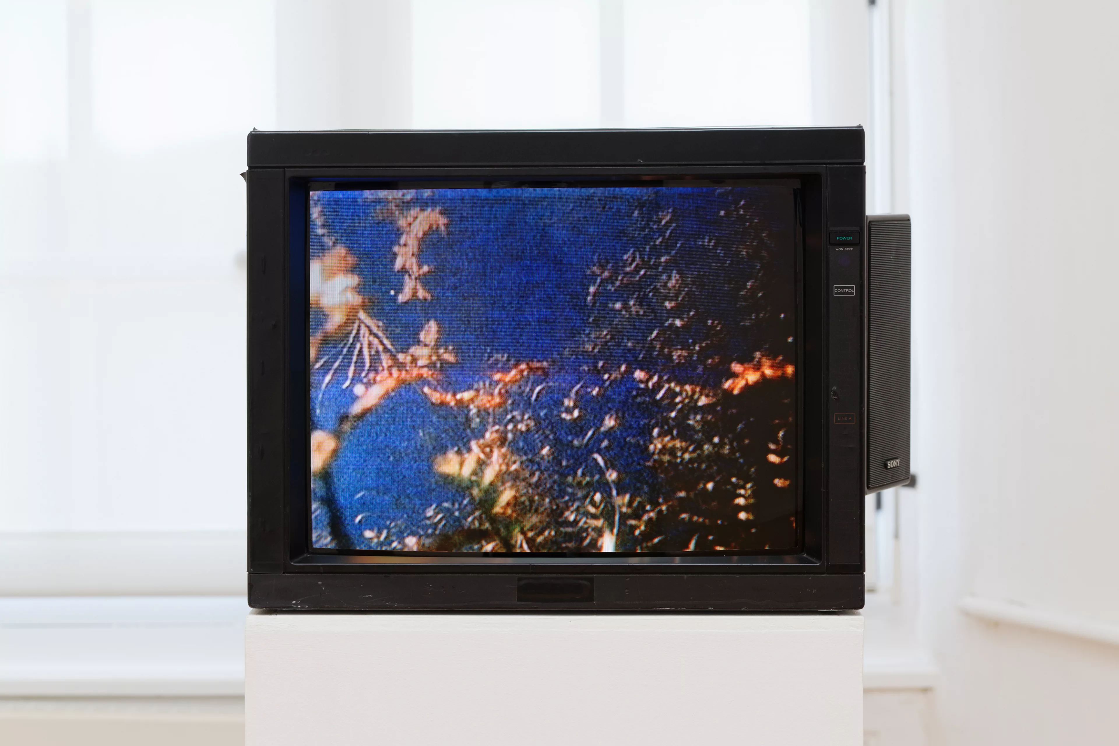 Vue de l'exposition L'œil du serpent
