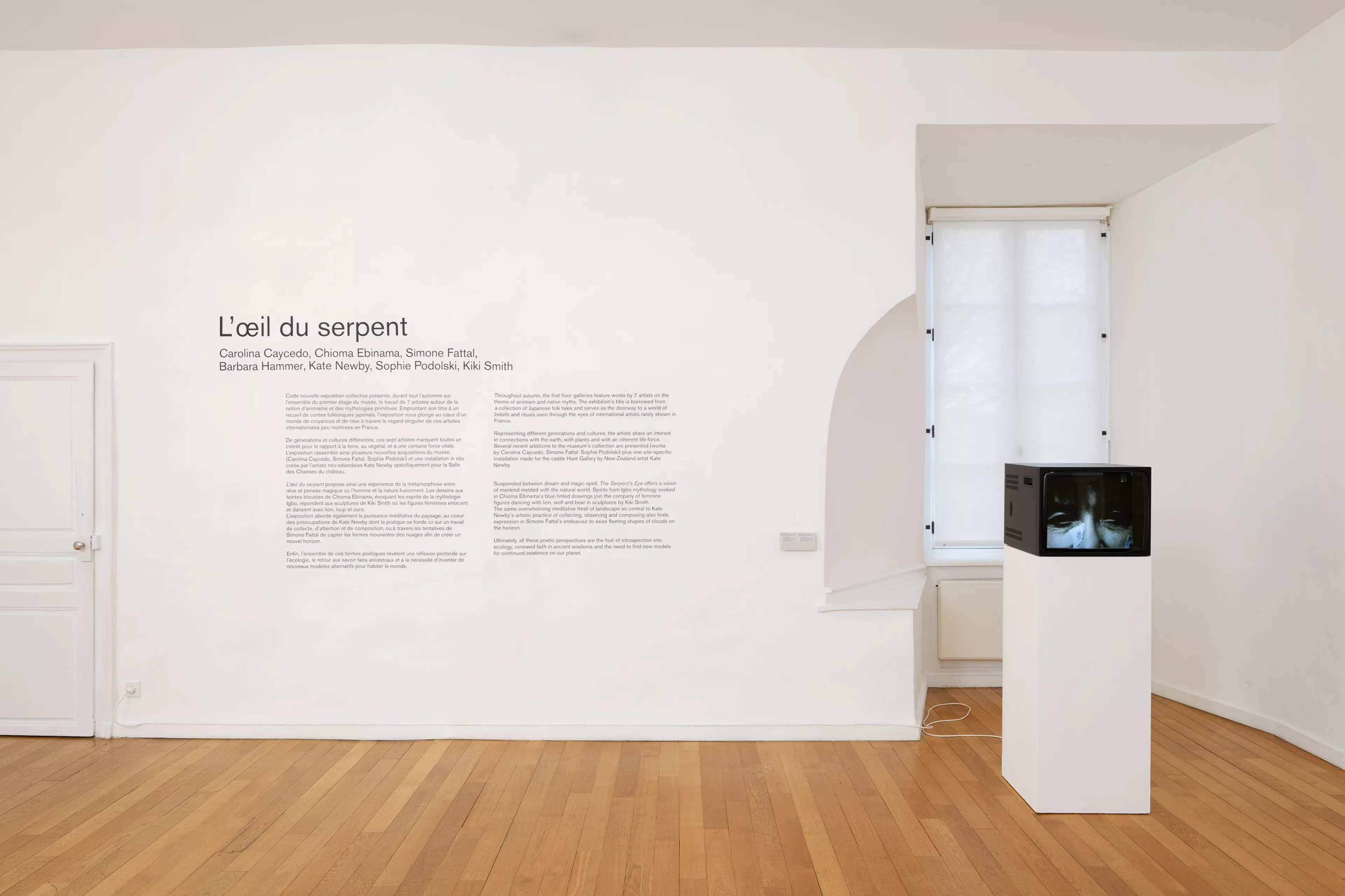Vue de l'exposition L'œil du serpent