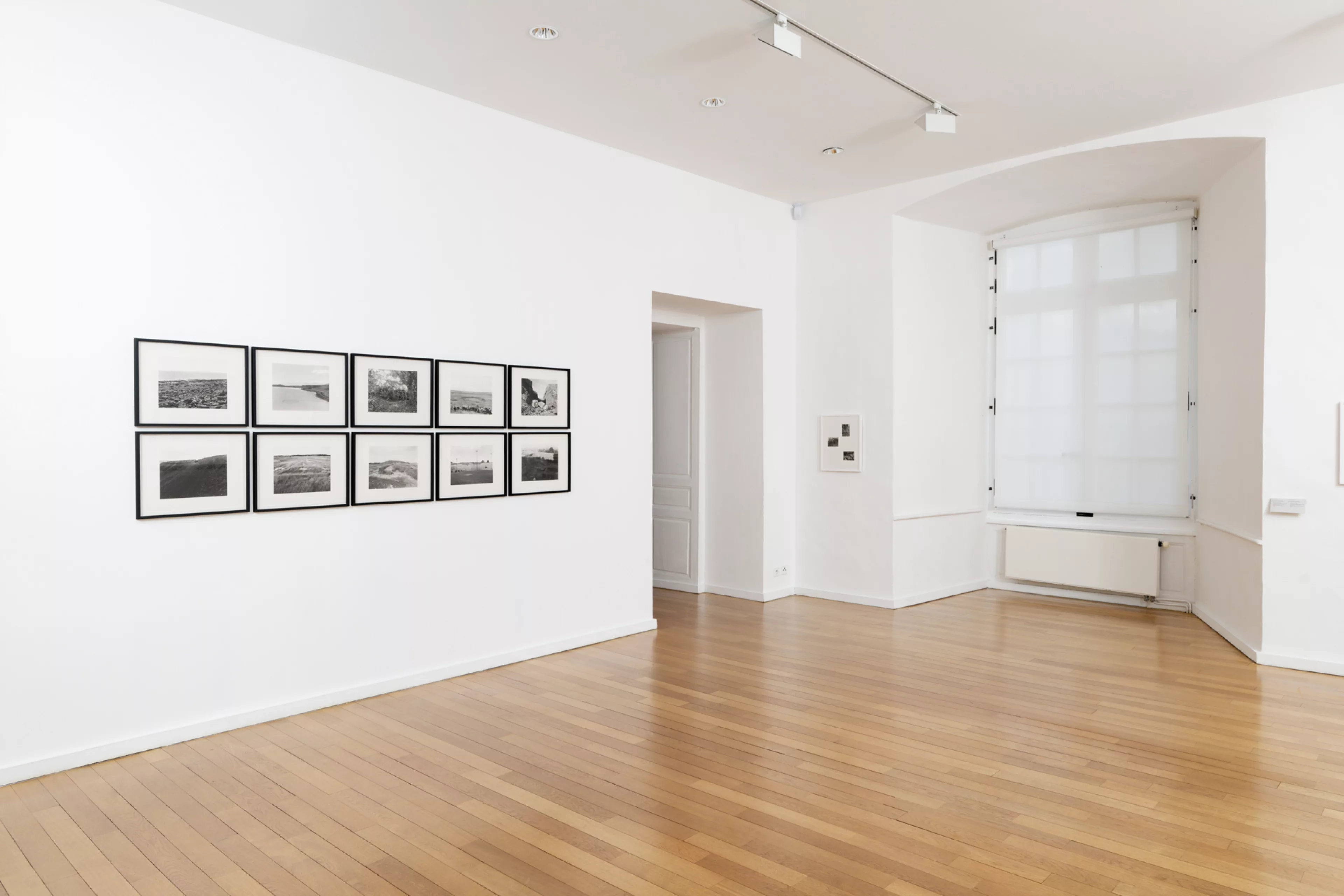 Vue de l'exposition Les pensées sauvages