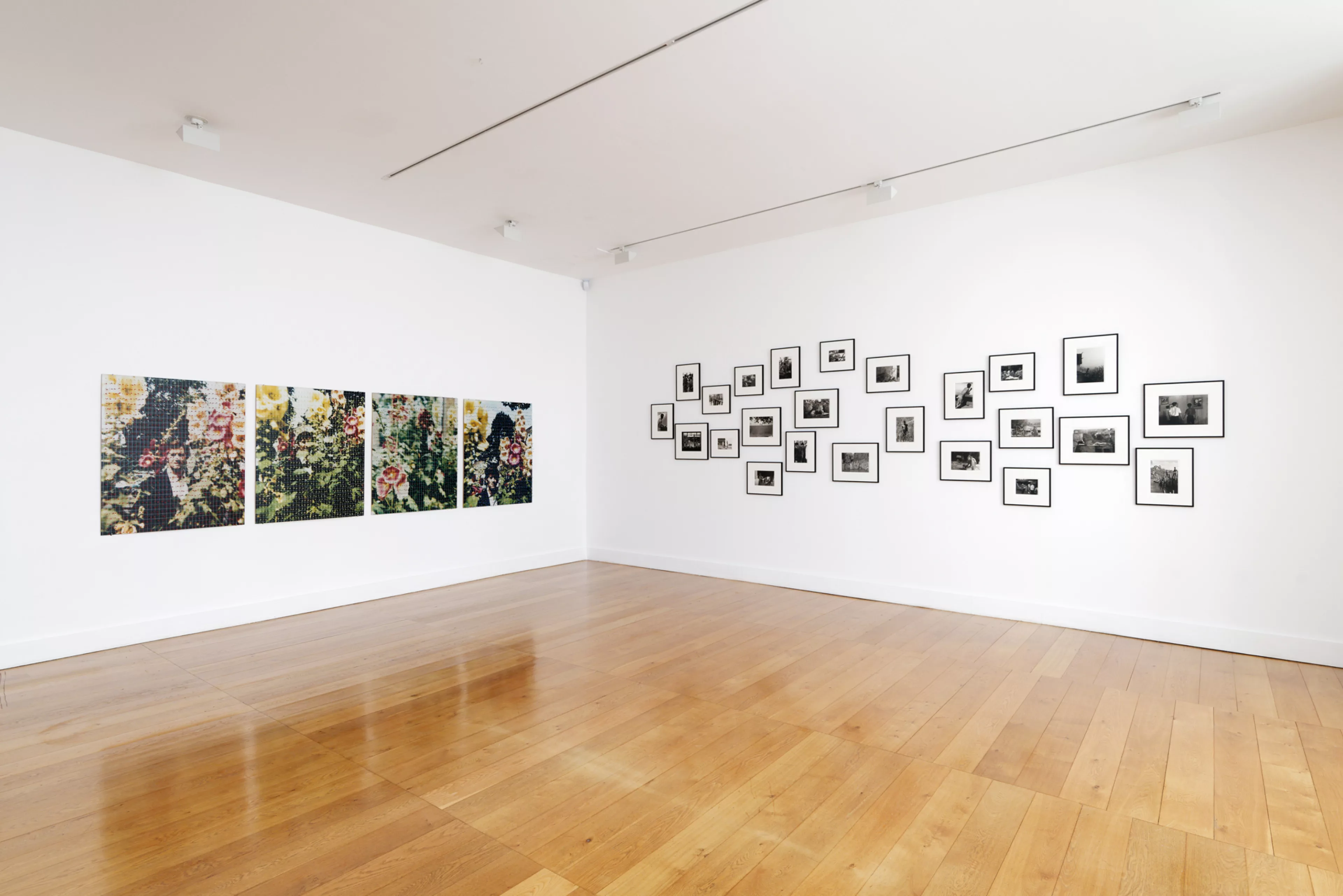 Vue de l'exposition Les pensées sauvages