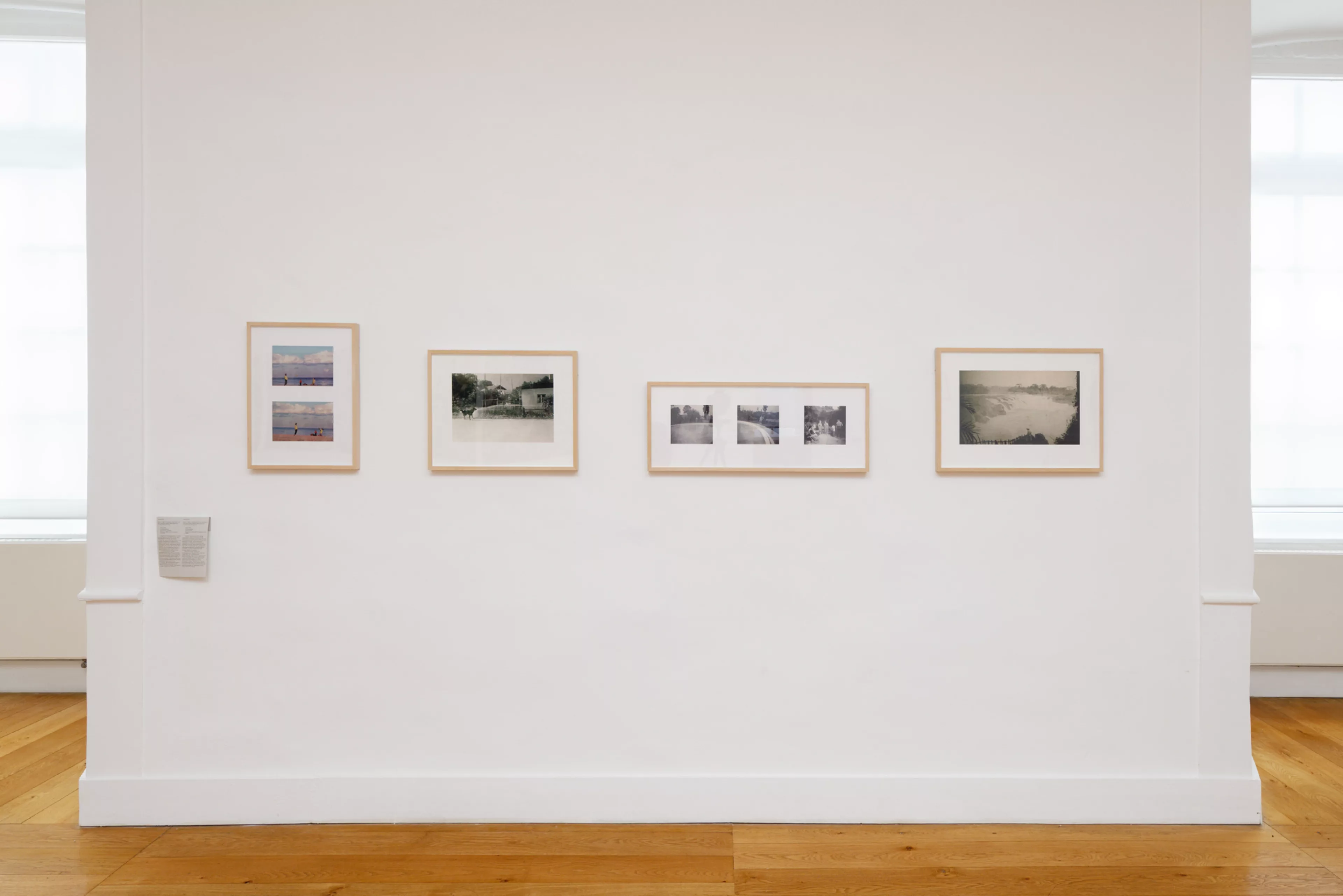 Vue de l'exposition Les pensées sauvages
