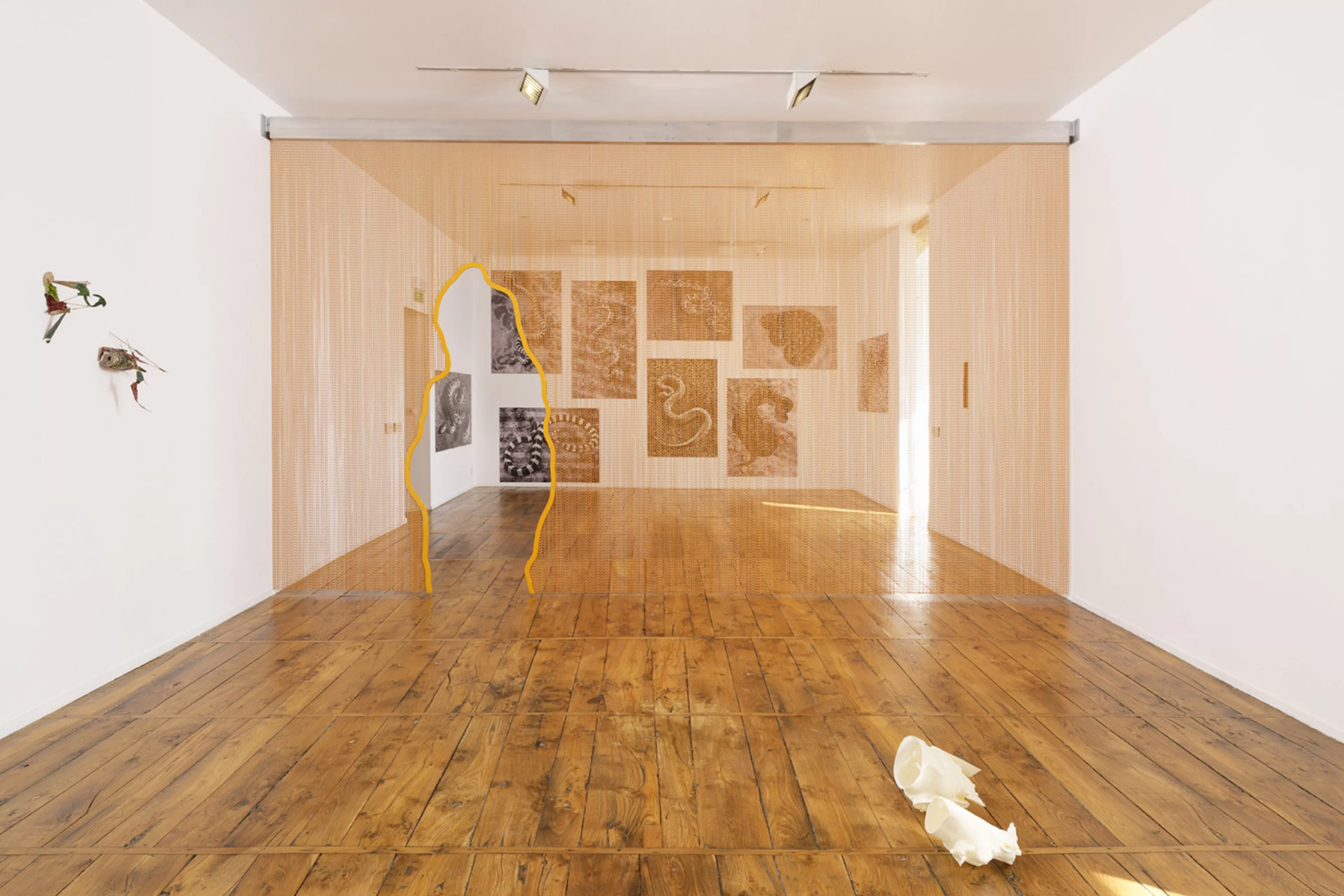 Exposition Nous sommes tous des lichens