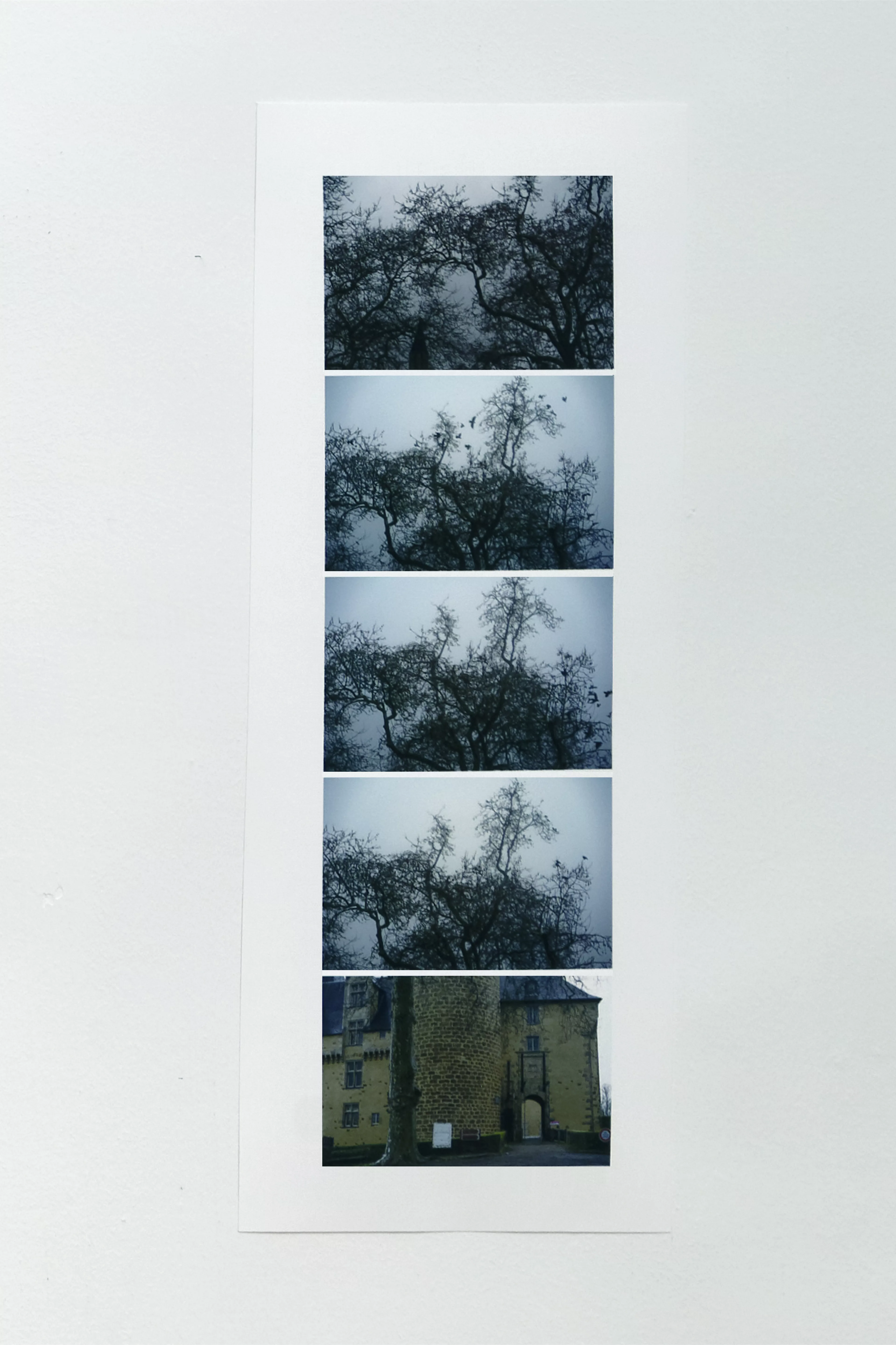 Vue de l'exposition Spaces to see