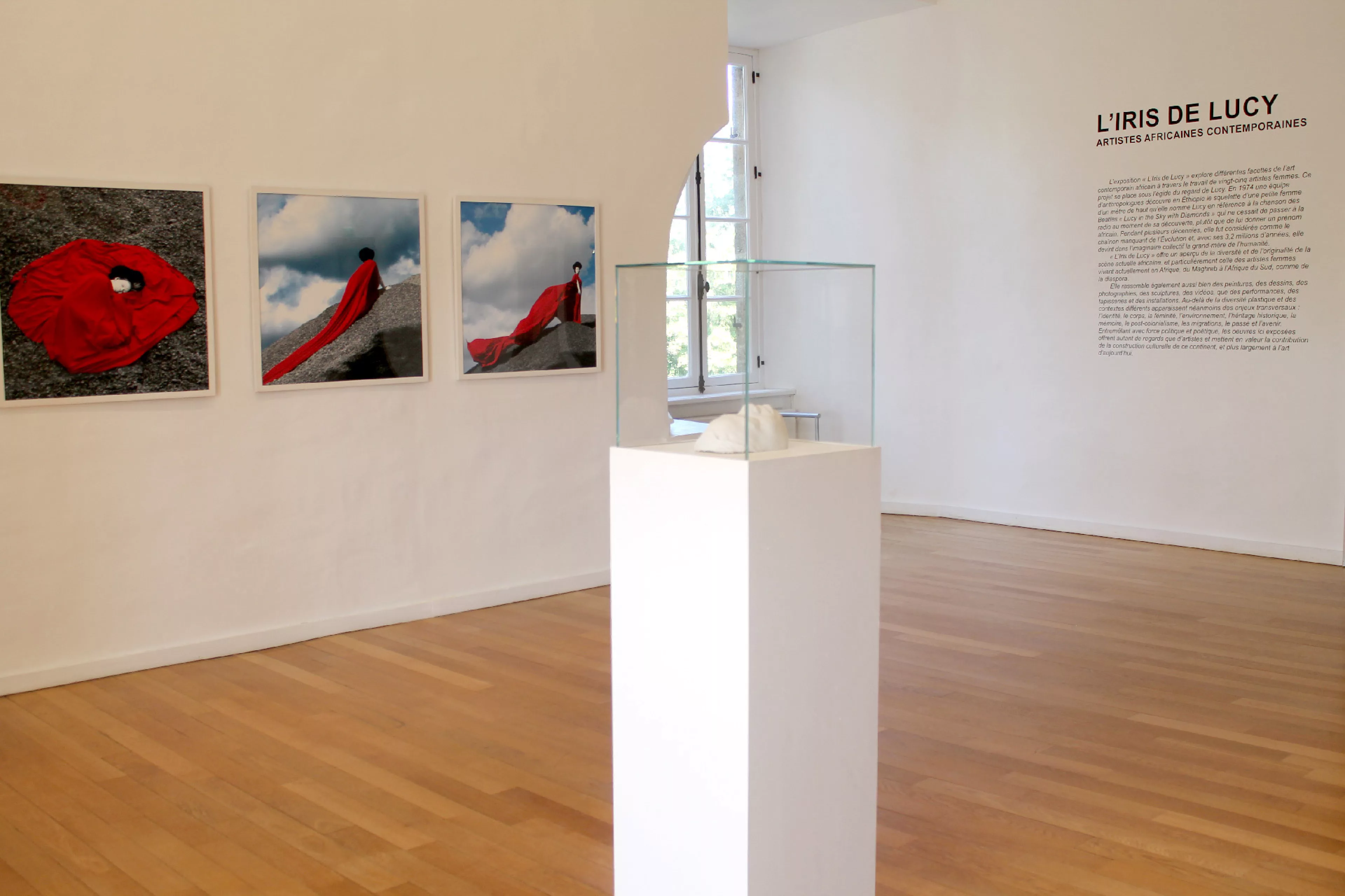 Vue de l'exposition L'iris de Lucy